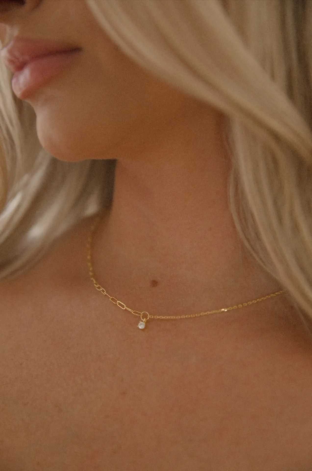 Dainty Charm Necklace